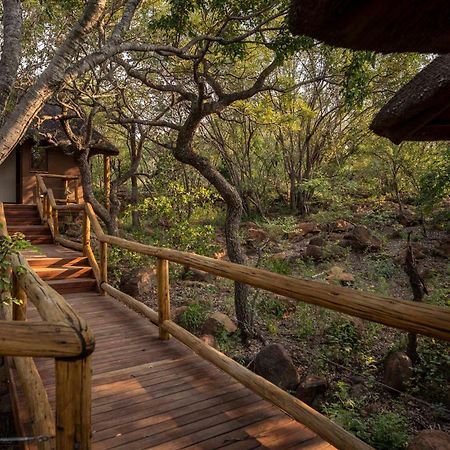 Tshwene Lodge Vaalwater Eksteriør bilde