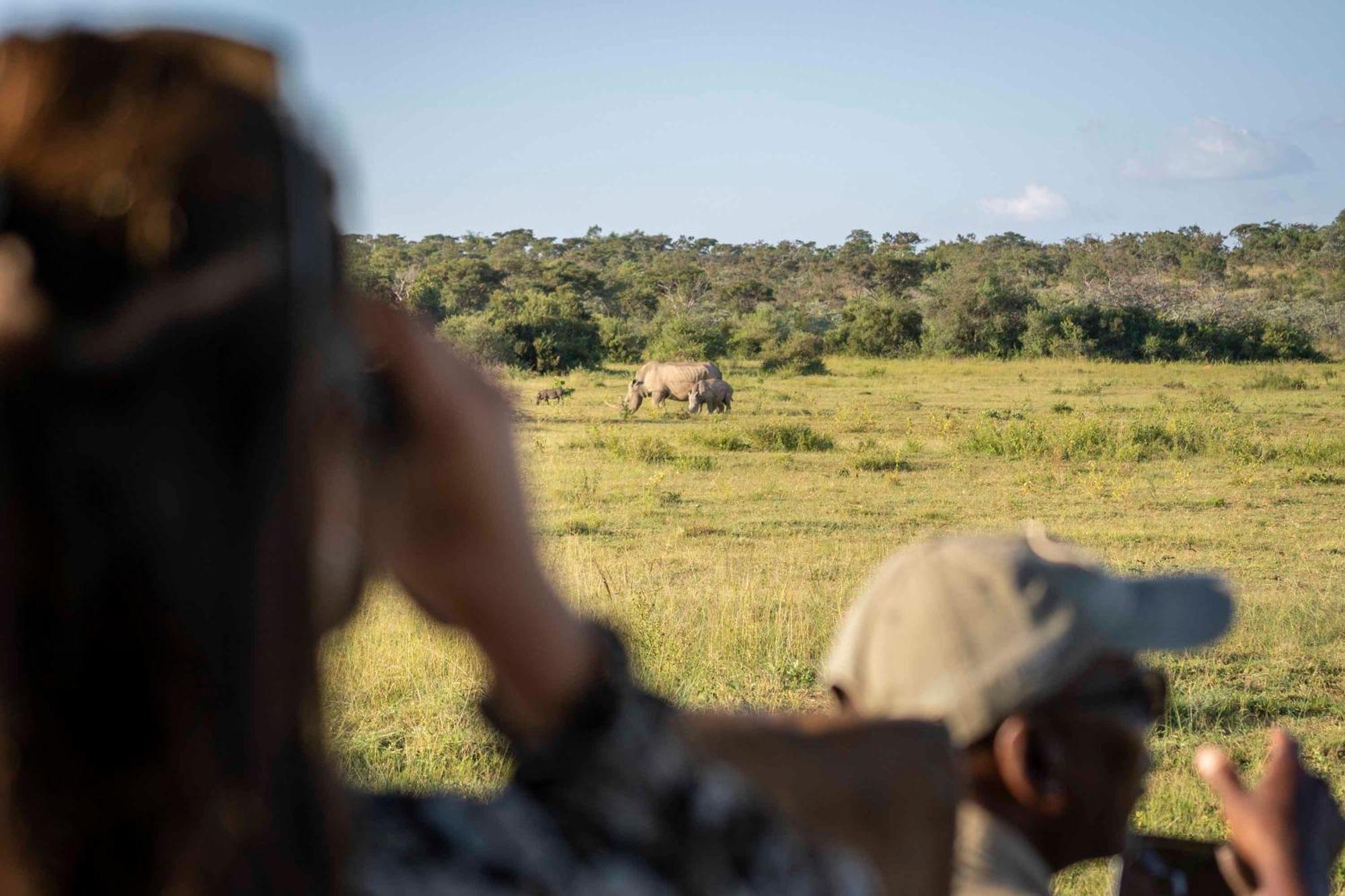 Tshwene Lodge Vaalwater Eksteriør bilde