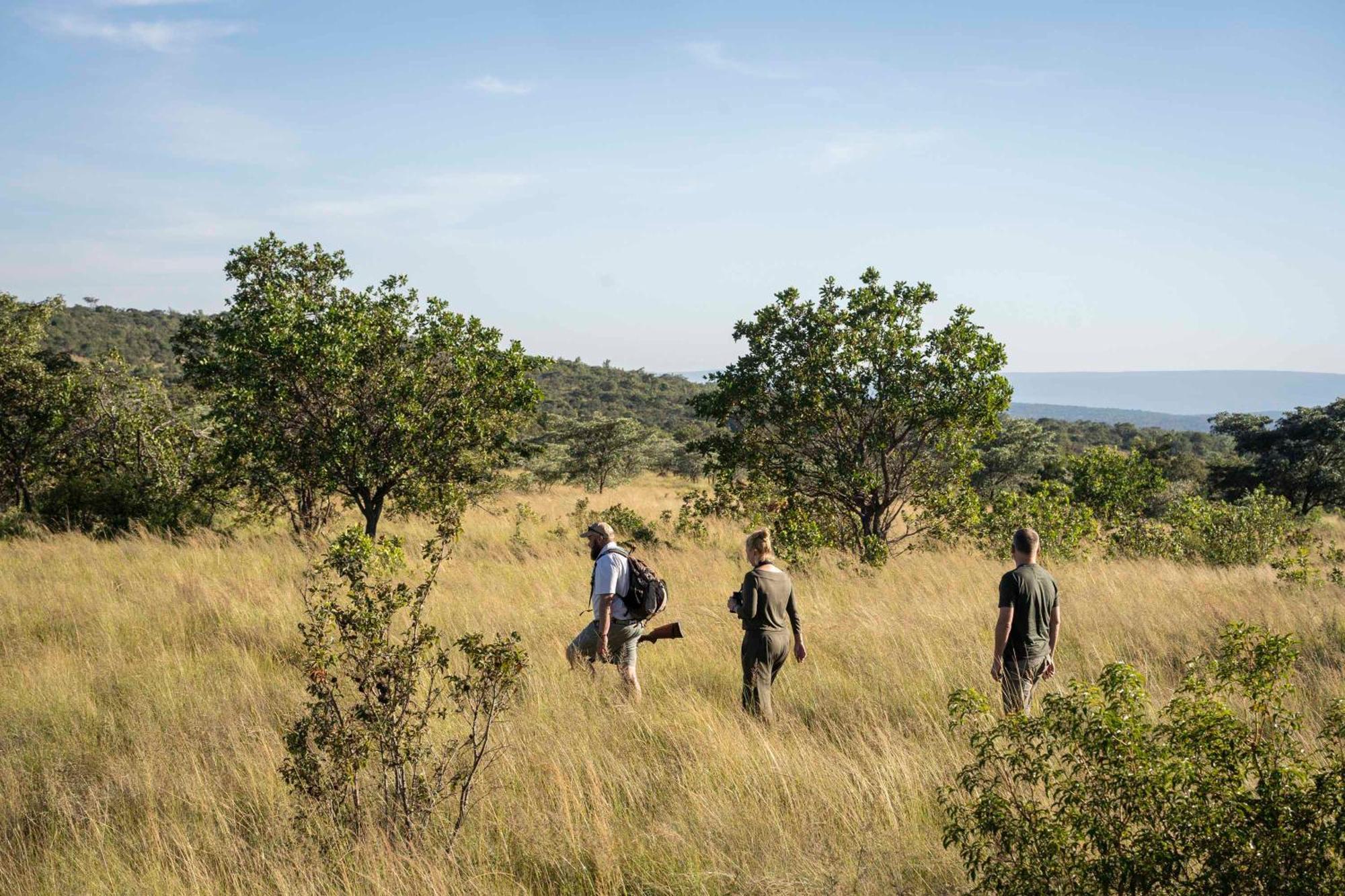 Tshwene Lodge Vaalwater Eksteriør bilde
