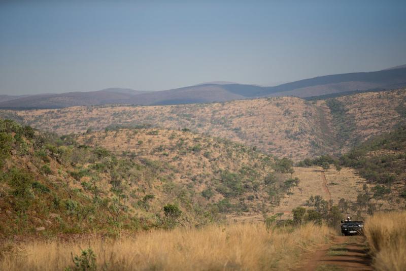 Tshwene Lodge Vaalwater Eksteriør bilde