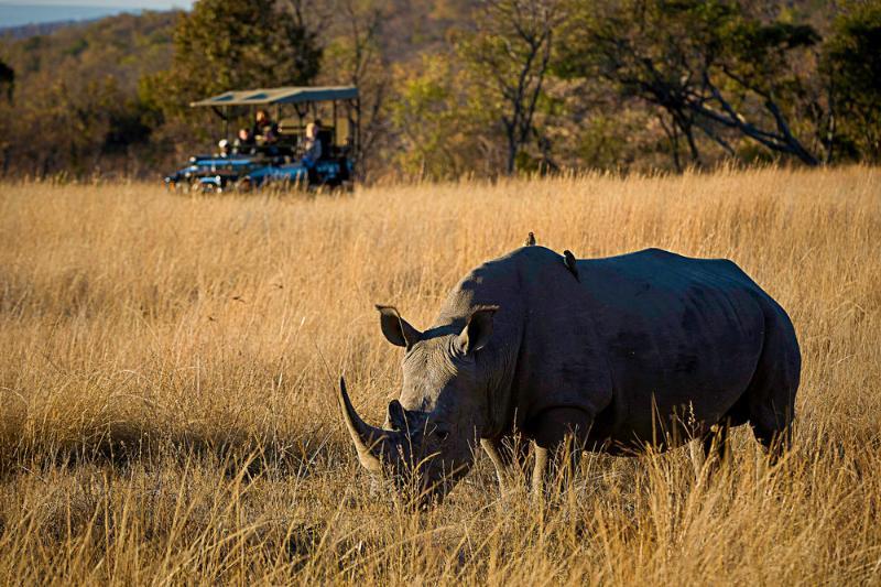 Tshwene Lodge Vaalwater Eksteriør bilde