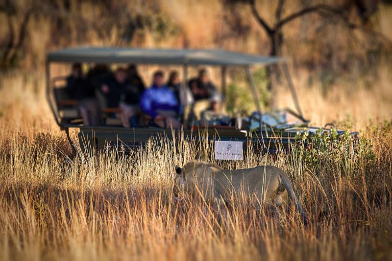 Tshwene Lodge Vaalwater Eksteriør bilde